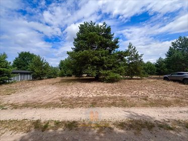 Działka 1459 m² w Powązkach, blisko Kampinoskiego Parku działka Powązki, Przytulna