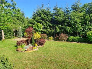 dom na sprzedaż 160m2 dom Lipie