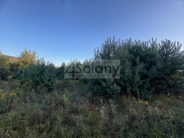 Działka 1231 m² przy lesie, media, nowa zabudowa - polecam! działka Wieliszew