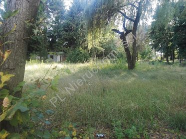 działka na sprzedaż 3280m2 działka Sękocin Nowy