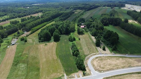 Na sprzedaż działka 19 000 m² w Kamieniu z szybkim dojazdem do Rzeszowa działka Kamień, Krzywa Wieś
