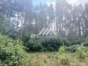 działka na sprzedaż 1900m2 działka Makówka