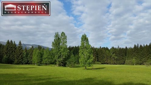 Działka budowlana na sprzedaż Antoniów 9 100m2 Foto 7