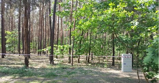 działka na sprzedaż 2140m2 działka Sękocin-Las