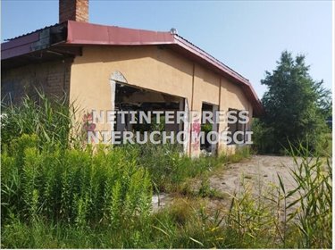 Działka 14 102 m² w Sarnach - możliwość rozbiórki i użytkowania działka Ułęż, Sarny