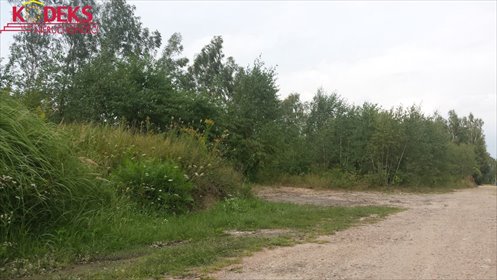 Działka 2400 m² w Chotomowie - media, blisko lasu działka Chotomów