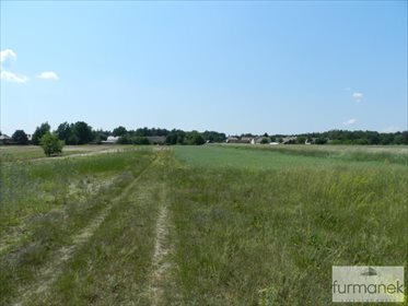 Działka rolna na sprzedaż Gózd Lipiński 11 400m2 Foto 7