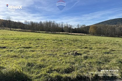 działka na sprzedaż 3000m2 działka Las