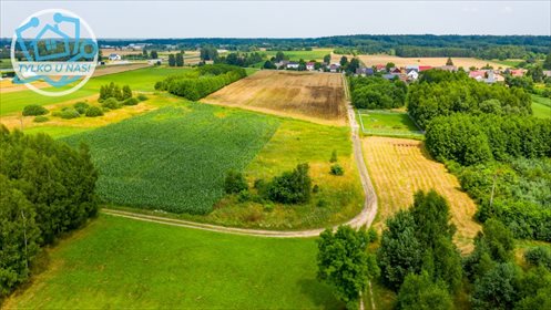 Działka rolna na sprzedaż Niecki 2 627m2 Foto 1