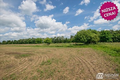 Działka rolna 7860 m2 z drzewami, media, blisko miasta działka Nowogard, obrzeża