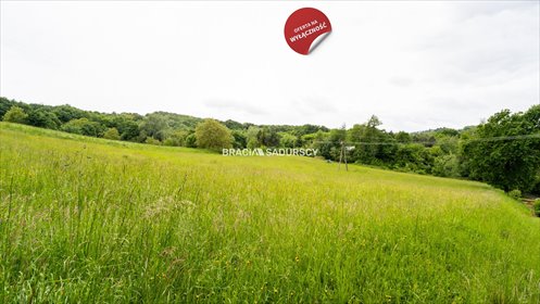 działka na sprzedaż 4700m2 działka Łazany