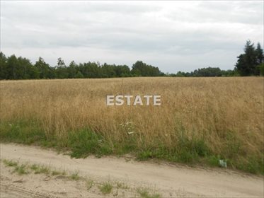 działka na sprzedaż 11891m2 działka Łódź, Widzew, Stare Moskule