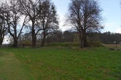 Działka budowlana na sprzedaż Lipówka 11 778m2 Foto 5