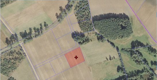 Działka budowlana na sprzedaż Borowo 3 001m2 Foto 1