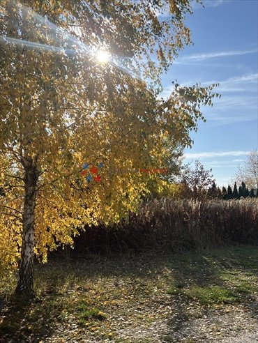 działka na sprzedaż 1315m2 działka Owczarnia