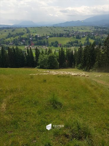 działka na sprzedaż 2937m2 działka Zakopane, Łosiówki