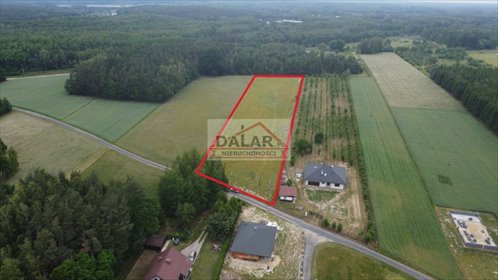 Sprzedam działkę 9615 m² z warunkami zabudowy w Dwórznie działka Dwórzno
