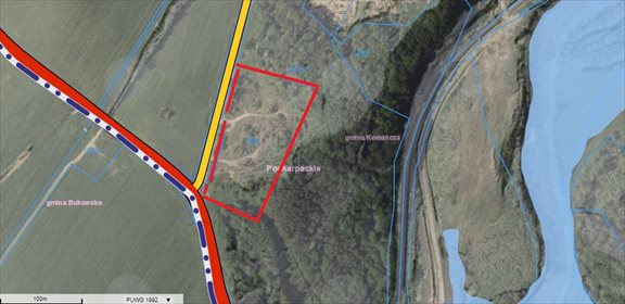 Działka inwestycyjna na sprzedaż Wysoczany 10 000m2 Foto 2