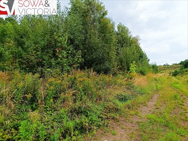 działka na sprzedaż 1497m2 działka Struga