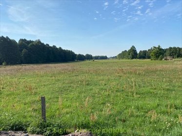 działka na sprzedaż 1490m2 działka Góra Bałdrzychowska, Góra Bałdrzychowska