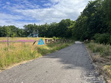 działka na sprzedaż 1078m2 działka Pępowo, Remusa