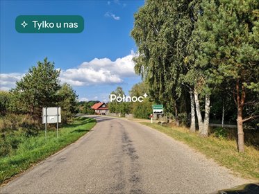 Urokliwa działka leśna 1,88 ha w Krynickich (las z drzewostanem 100-letnim) działka Krynickie