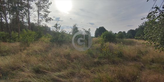 Zapraszam do zakupu działki 1343 m² w Boleminie działka Bolemin