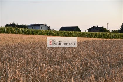 Działka budowlana na sprzedaż Łuków Śląski 3 750m2 Foto 3