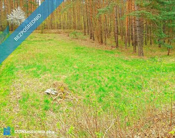 działka na sprzedaż 760m2 działka Pluski, Pluszna