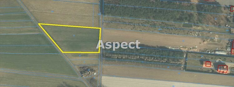 działka na sprzedaż 2389m2 działka Piątek