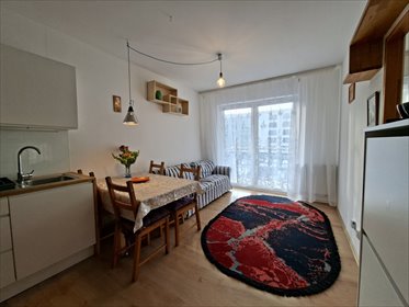 mieszkanie na wynajem 30m2 mieszkanie Poznań, Winogrady, Hawelańska