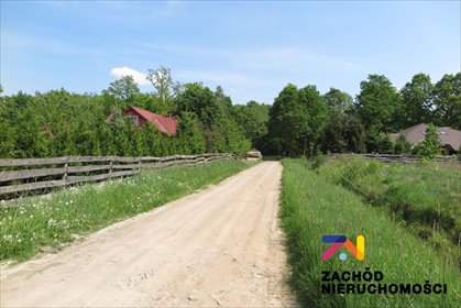 Polecam działkę leśno-budowlaną 3500 m² z prądem w Świdnicy działka Świdnica, Bunkrowa