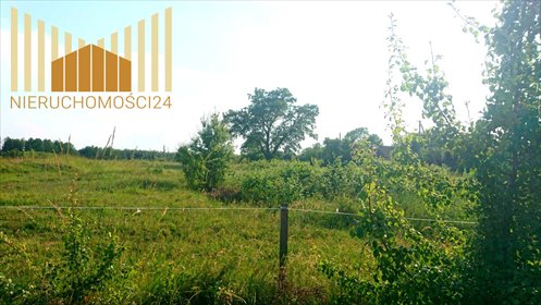 Działka budowlana 1159 m2 w Mrozach - blisko natury. działka Mrozy