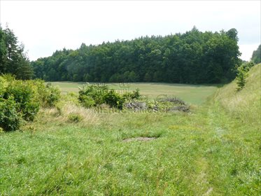 Działka budowlana na sprzedaż Borowo 2 049m2 Foto 5
