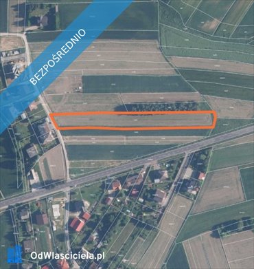 działka na sprzedaż 3899m2 działka Zasole, Załęcze
