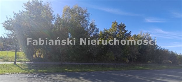Sprzedam działkę 4753 m² z WZ na 4 domy w Dachowej działka Dachowa, Działka z WZ na 4 budynki 2 - lok. Dachowa gmina Kórnik, pełne media
