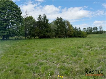 Działka 1080 m² w Pomlewie - idealna pod dom jednorodzinny działka Pomlewo, pomlewo, Pomlewo, Kasztanowa