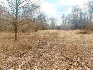 Działka budowlana na sprzedaż Milanówek 9 150m2 Foto 6