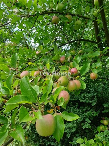 działka na sprzedaż 400m2 działka Szczecin, Warszewo