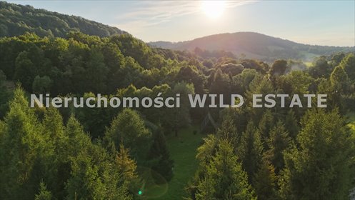 Sprzedam urokliwy domek i działkę 63 ar w Stańkowej dom Ustrzyki Dolne, Stańkowa