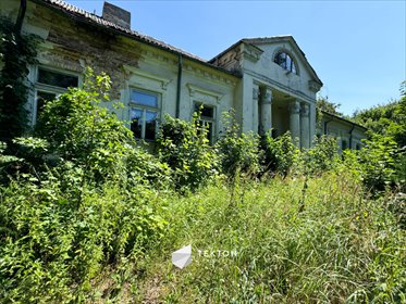 dom na sprzedaż 1000m2 dom Karnkowo