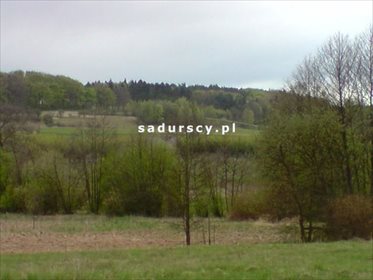 Działka budowlana na sprzedaż Frywałd 25 000m2 Foto 2