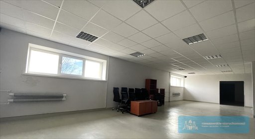 Lokal użytkowy na wynajem Rzeszów, Mikołaja Reja 126m2 Foto 2