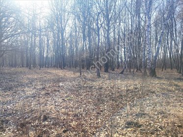 działka na sprzedaż 1370m2 działka Milanówek