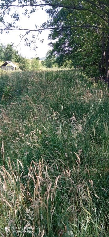 działka na sprzedaż 1614m2 działka Wielopole Skrzyńskie