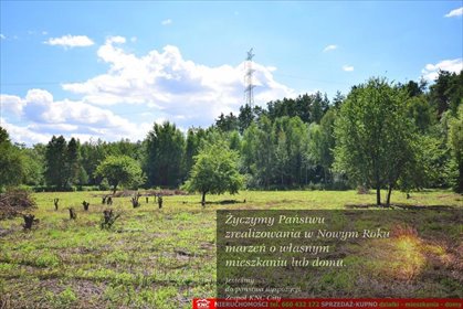 działka na sprzedaż 3000m2 działka Pliszczyn