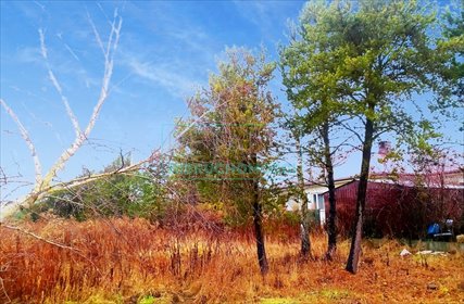 działka na sprzedaż 1100m2 działka Jastrzębnik