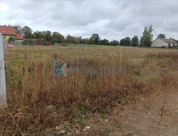 działka na sprzedaż 1300m2 działka Łosie