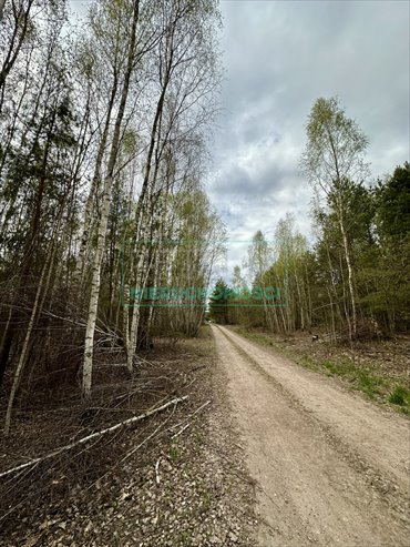 działka na sprzedaż 2799m2 działka Strzeniówka