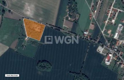 Lokal użytkowy na sprzedaż Żórawina, Aleja Niepodległości 1 835m2 Foto 2